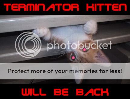 TerminatorKittenFinal.jpg