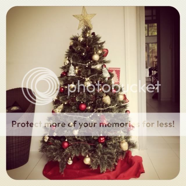 Uploaded from the Photobucket iPhone App