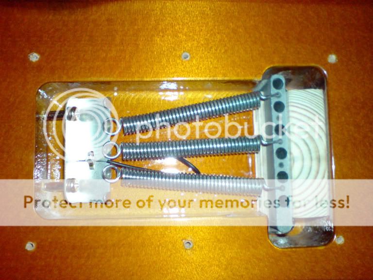 Fender® Forums • View topic - Free 1999 Squier! (An ongoing project