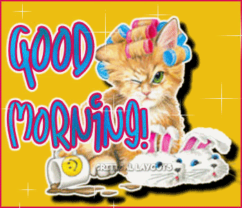 good-morning-cat-gc.gif
