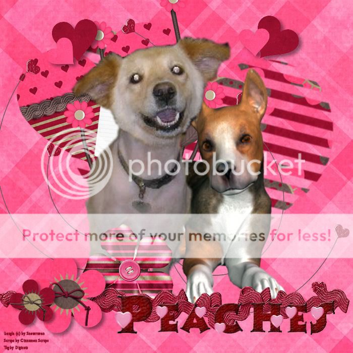 Dog,Happy Valentine's Day
