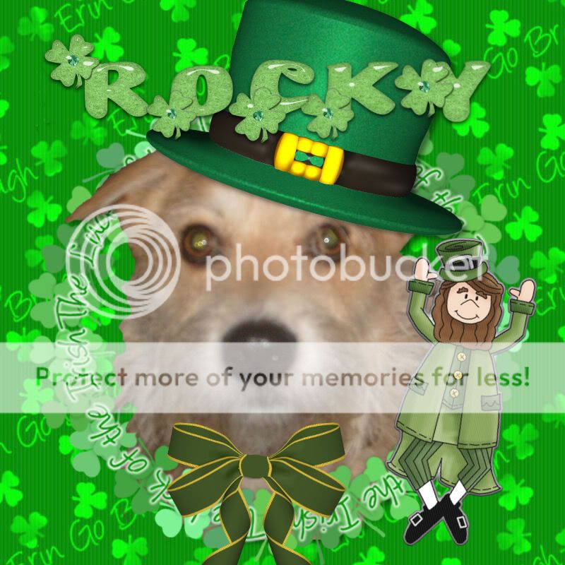 Dog,St. Patrick's Day