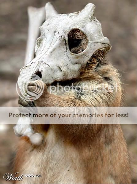 Forum Image: http://i492.photobucket.com/albums/rr285/Heebie-Jeebies/cbn-2.jpg