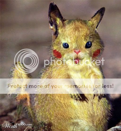Forum Image: http://i492.photobucket.com/albums/rr285/Heebie-Jeebies/pkmn-1.jpg