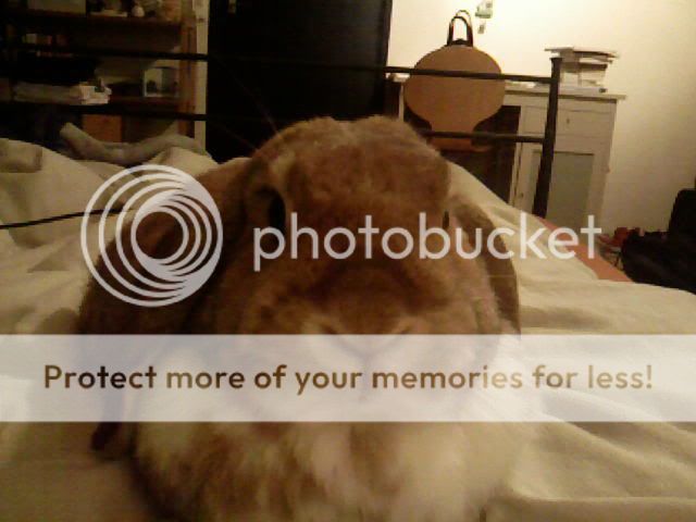 SP_A0219.jpg