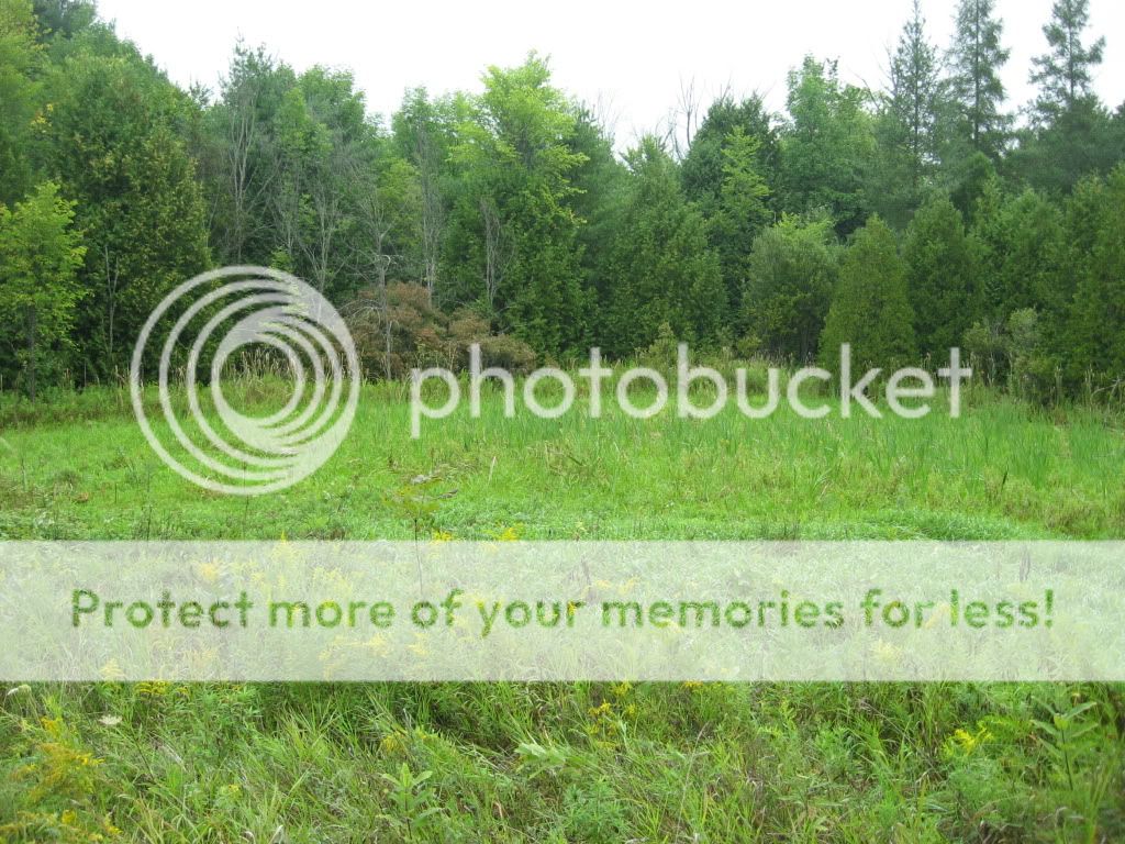 IMG_0726.jpg