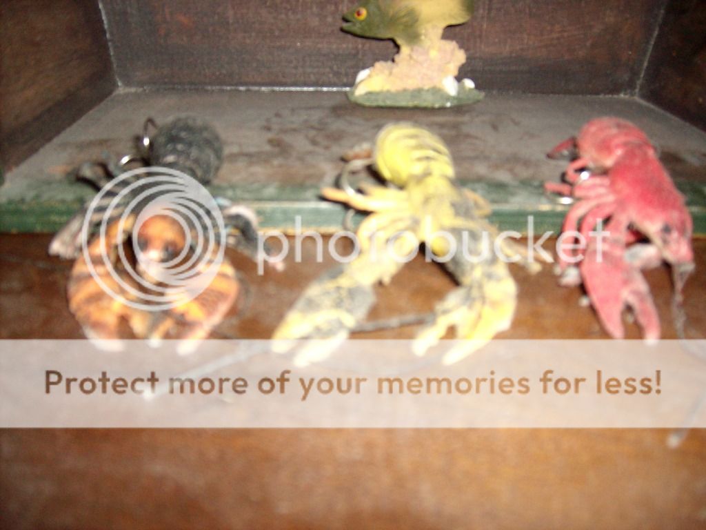Posted Image